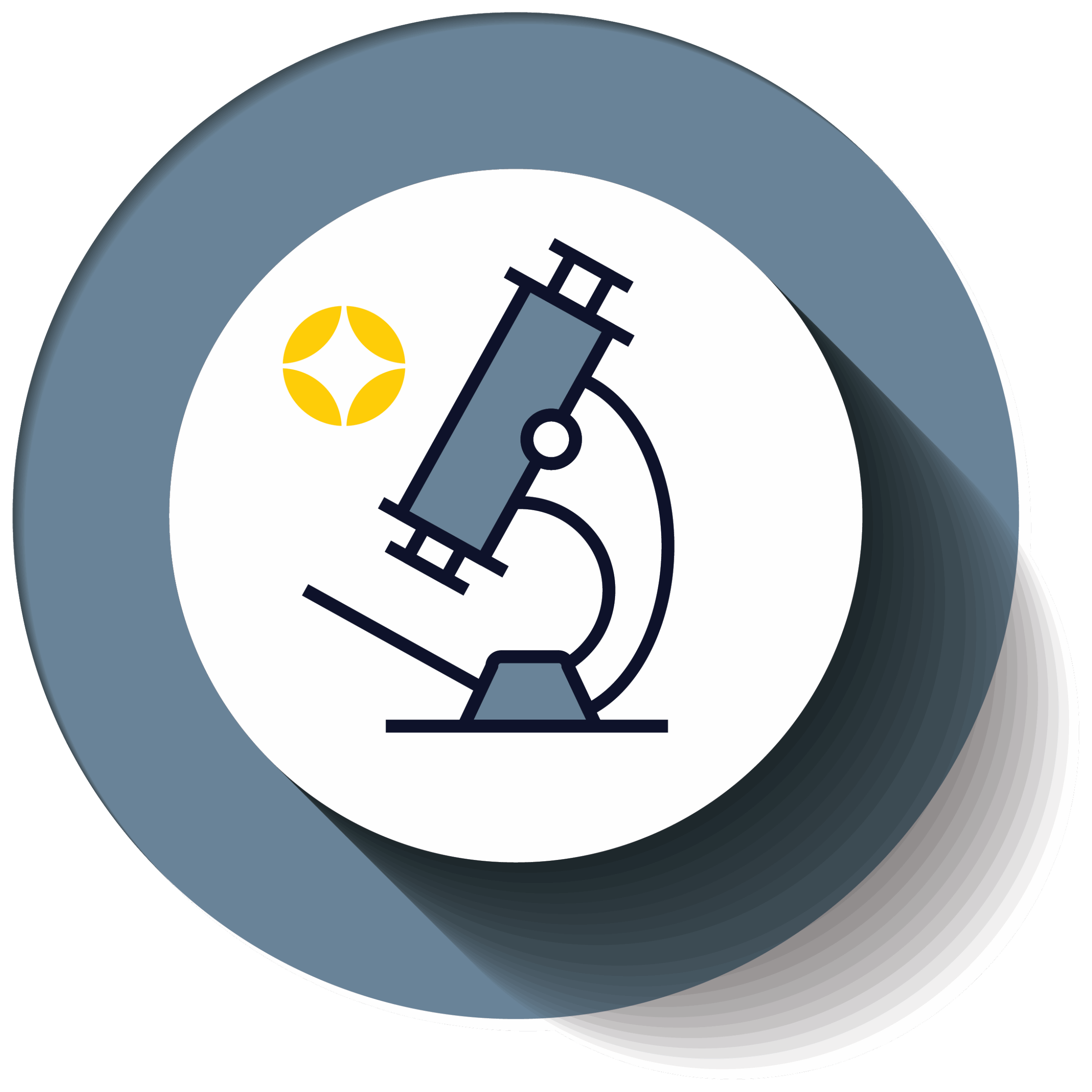 Rigorous evaluation icon